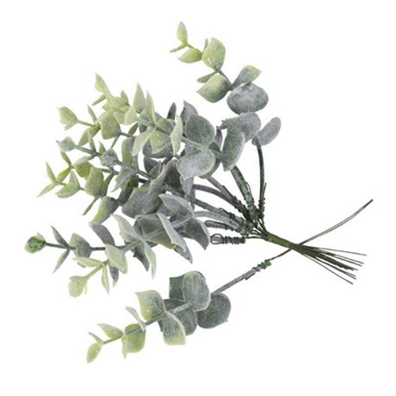 Branches d'eucalyptus blanchi (x10) Branches d'eucalyptus blanchi (x10)