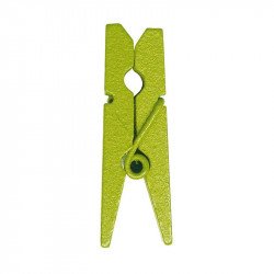 Pinces en bois (mini x24) vert