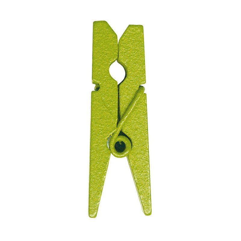 Pinces en bois (mini x24) vert