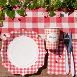 Serviettes Vichy (x20)