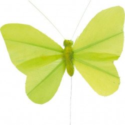 Papillon sur tige Vert