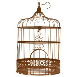 Tirelire Cage à oiseaux rouille