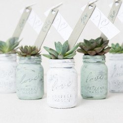 Pot en verre love mason jar avec des plante verte dedans 