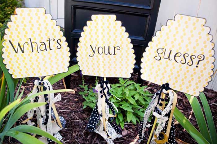 03 Gender reveal theme what wil it bee
