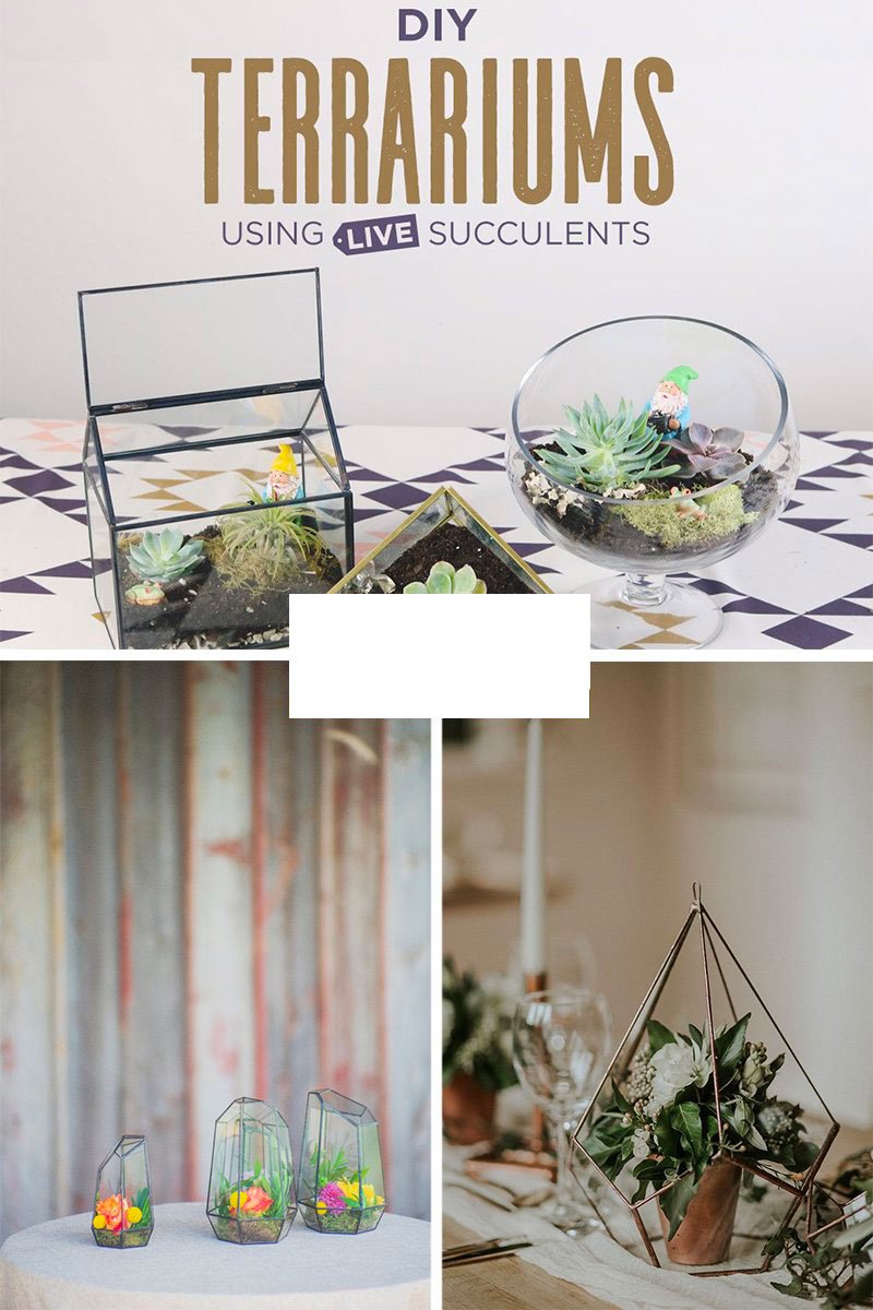 Compositions florales champetres originales dans terrairum