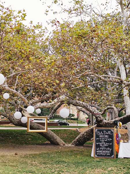 Improviser des cadres et des décos accrochées aux arbres