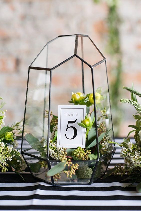 Terrarium géométrique avec verdure fraîche et numéros de table à l’intérieur