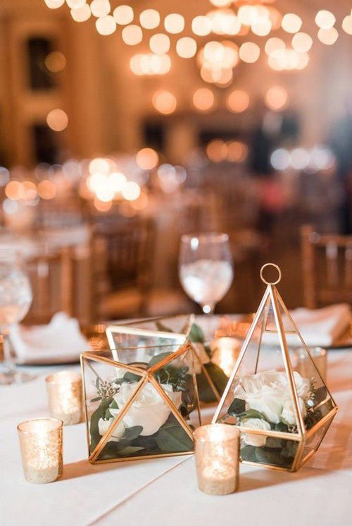 a-juste-titre-le-terrarium