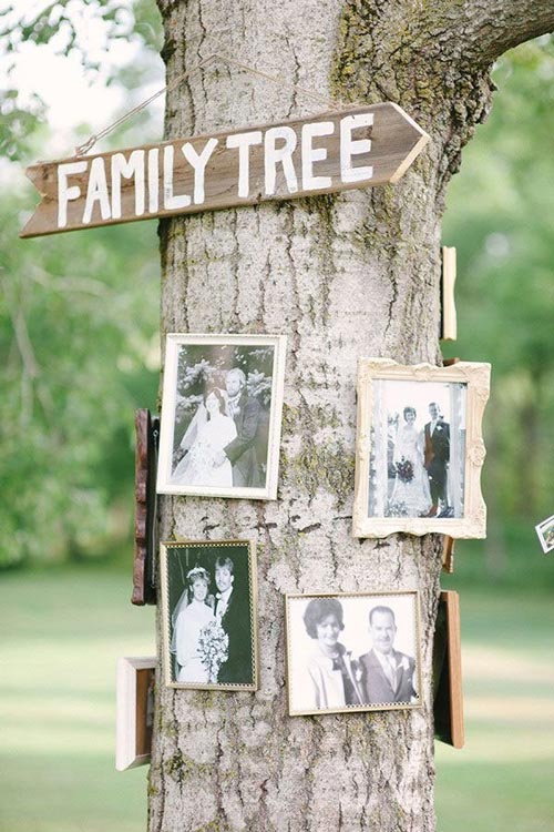 accrocher-photos-tronc-arbre