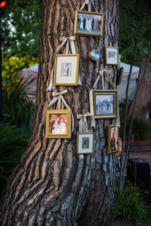 accrocher-photos-tronc-arbre