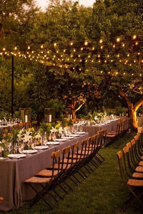 decor-reception-nocturne-vignoble