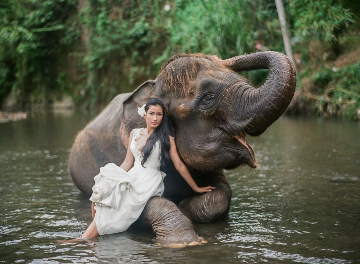 elephant-mariage-blanc-chic