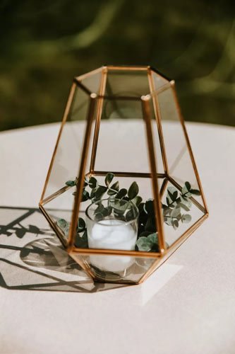 terrarium-deco-photophore-plantes.jpg
