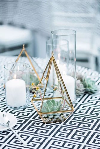 terrarium-deco-plantes-grasses-table